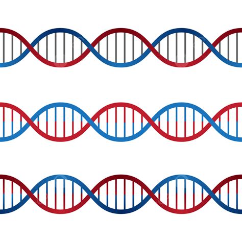 Dna clipart images in SVG, PNG, GIF .